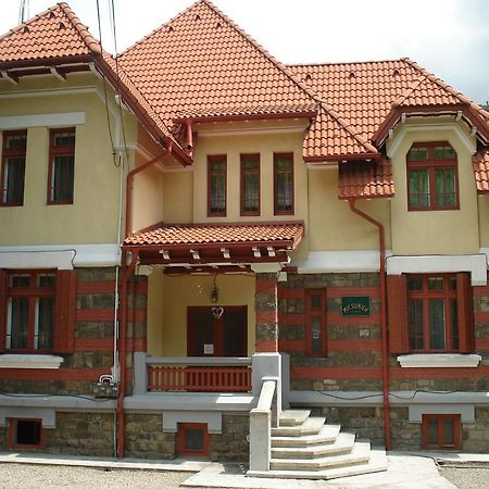 Pensiunea Micsunica Sinaia Exterior photo